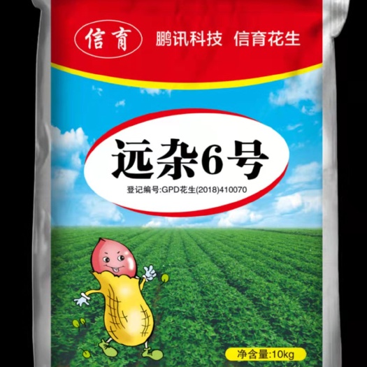 郑州花生种子