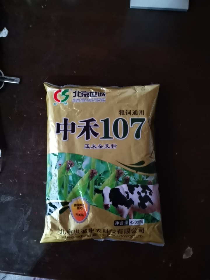 中禾107玉米种，德国拜耳高巧，半马齿形，白穗轴！！