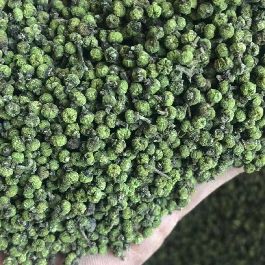 罗城县吴茱萸