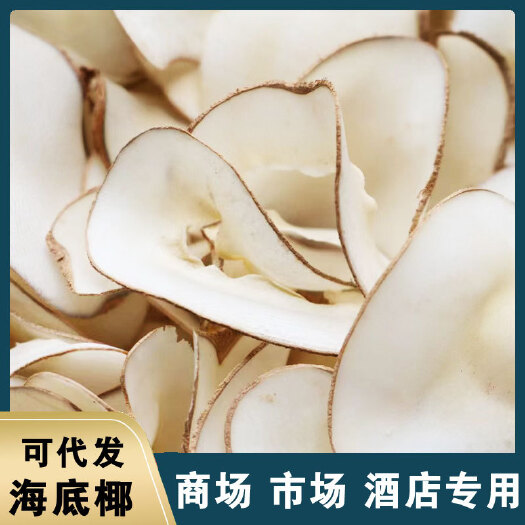 海底椰 海椰子片椰香味 足干白片原色无硫一手货源泰国海底椰