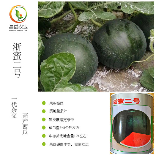 寿光市浙蜜2号西瓜种子早熟黑皮红瓤甜度高大西瓜种子大棚四季种植西瓜