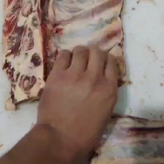 阳信县牛光排
