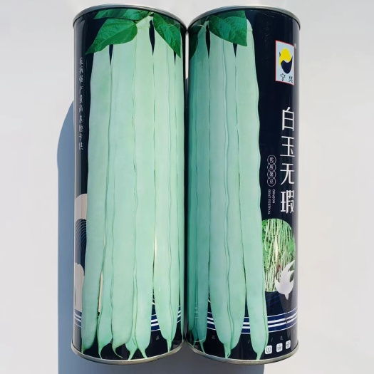 沭阳县四季豆种子白玉无瑕架豆种子肉原无纤维扁圆型品质优良芸豆种子