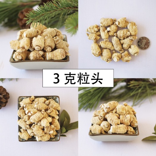 威海威海文登特产西洋参，西洋参粒头，软质西洋参粒头，多规格可选，