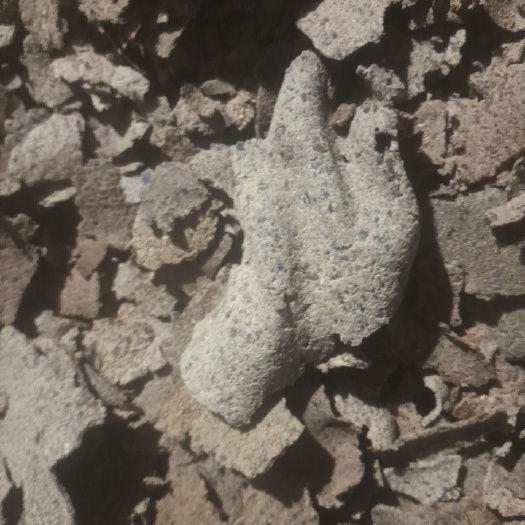 那坡县油坊出卖茶麸