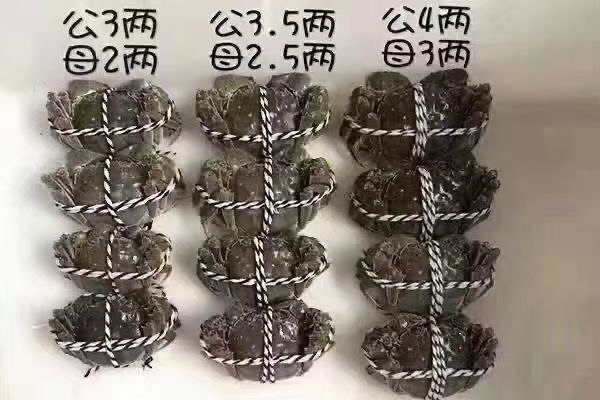 潜江市大闸蟹
