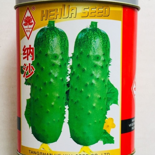 黄瓜种子纳沙水果黄瓜种子口感清香植株生长势强品质好水果黄瓜种