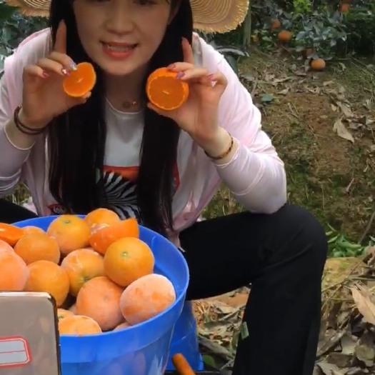 崇左广西茂谷柑