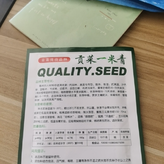 宾川县义门苔干大理贡菜种子一米青