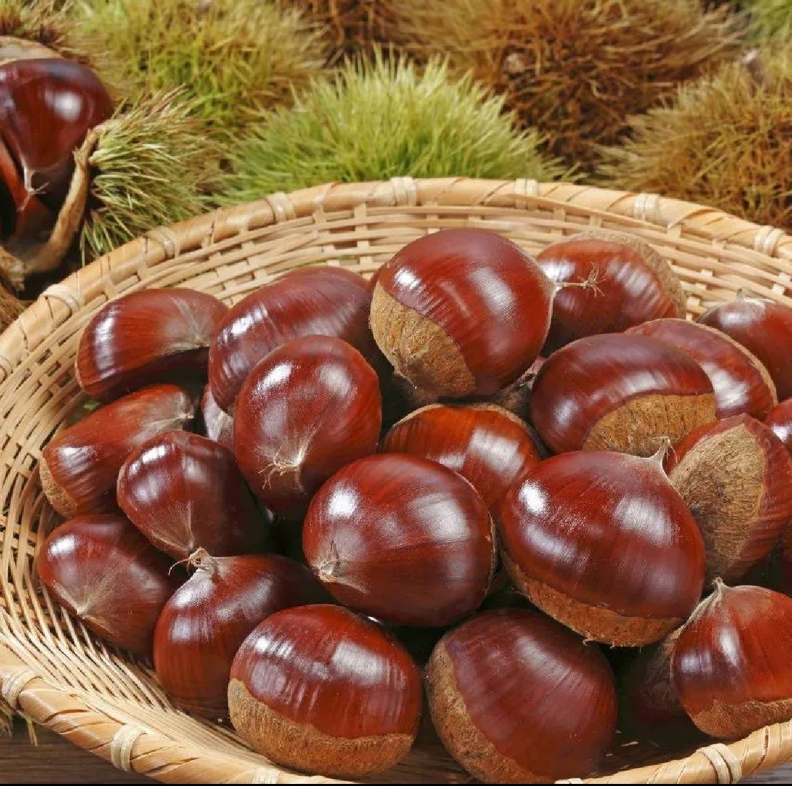 沂蒙山板栗油板栗子香甜可口