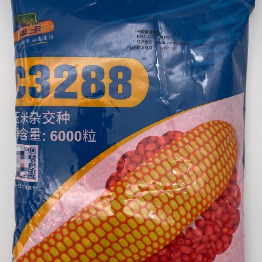平泉市迪卡C3288玉米种子，轴细粒深马齿型，