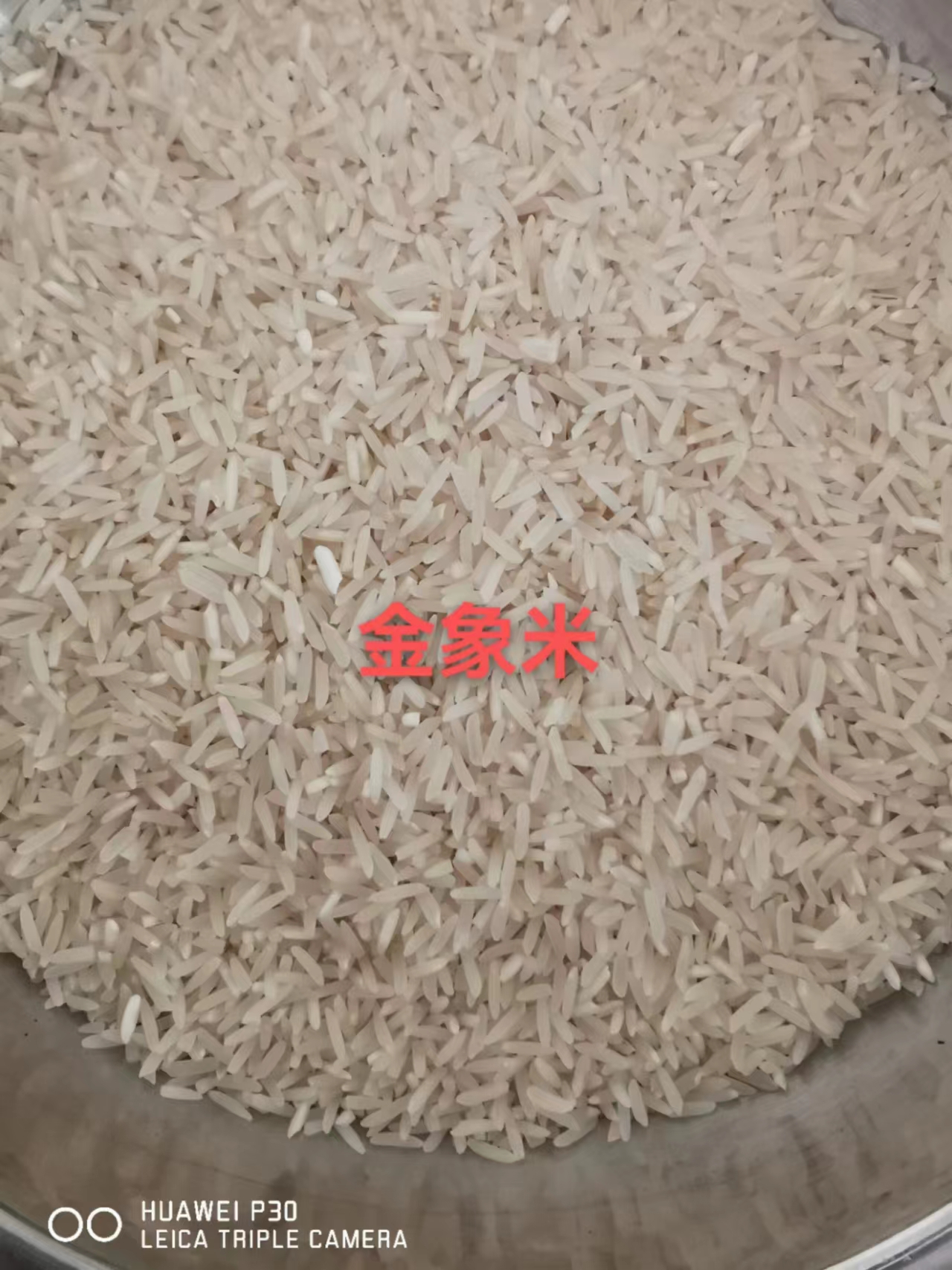 奥泰  金象水稻