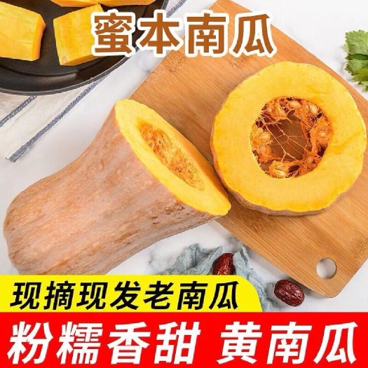 全黄金韩蜜本南瓜 老南瓜 养殖南瓜 电商南瓜 超市市场南瓜