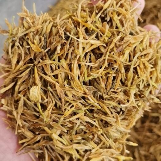 玉林供应素馨花