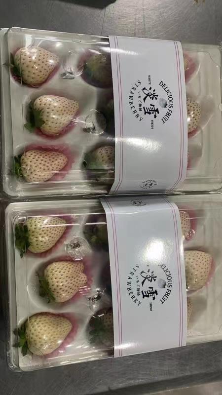 栖霞市淡雪草莓，一件代发，过年不停