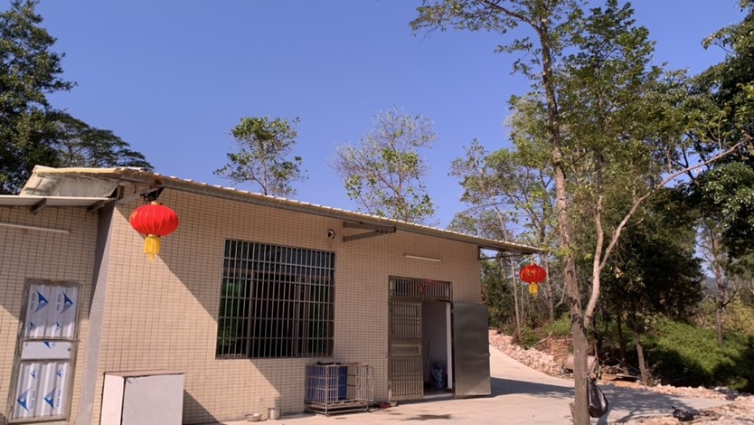 东莞市东莞市清溪镇山顶果园大马路边出售30亩出售 可以分出售无中介