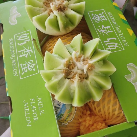 乐东县玉菇