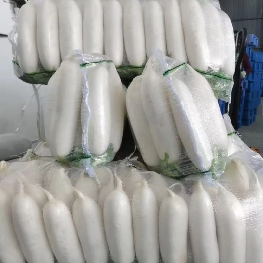 天门市白萝卜345排渣货大量有货 产地直发 欢迎老板前来咨询