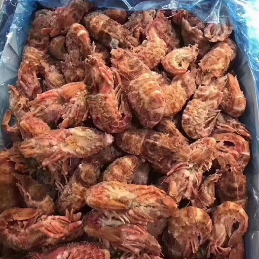 珲春市俄罗斯深海虾爬子虎头虾皮皮虾