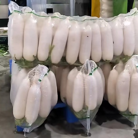 天门市精品白萝卜345排， 渣货青头萝卜大量现货，基地直发！