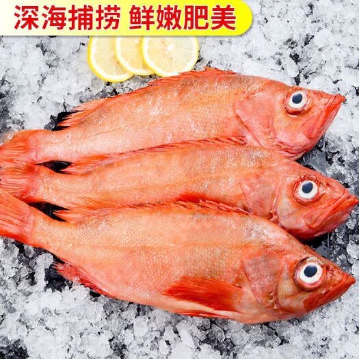 红鱼 红石斑 长寿鱼 富贵鱼 新鲜海鲜 鲜活水产速冻红石斑鱼