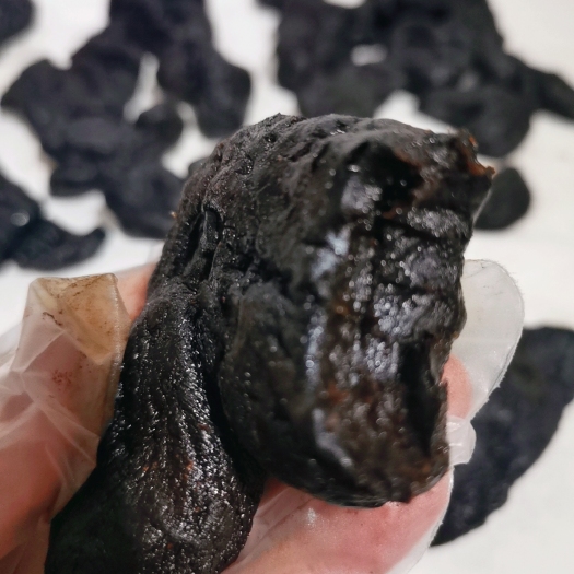 亳州挑战九蒸九晒黄精，黄精九蒸九晒，九制黄精