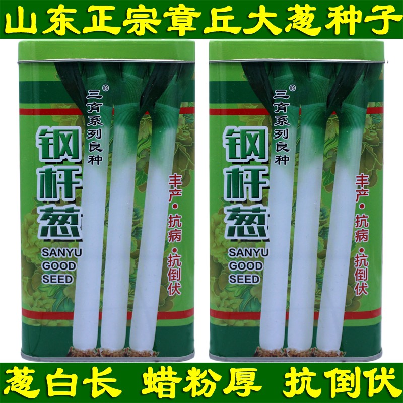 菏泽长白大葱种子 85≥% 常规种