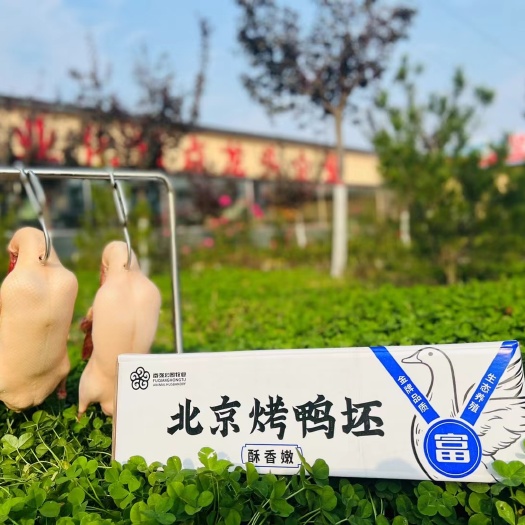 成都北京烤鸭坯