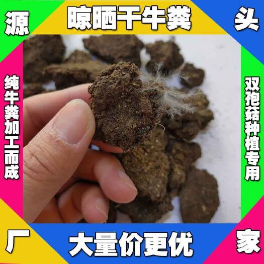 无极县山东发酵牛粪供应 淄博干牛粪出售 德州腐熟牛粪 青岛发酵牛粪