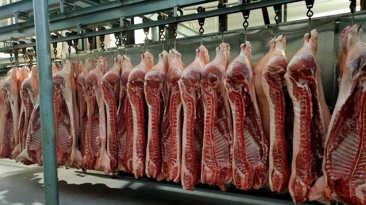 （绿品汇）猪肉类 鲜肉现杀可按需分割非冻肉、餐饮、商超供应