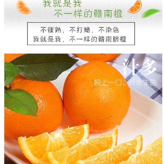 常州赣南高山老树脐橙 八分甜两分酸