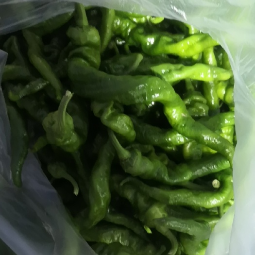 进贤县辣椒 余干椒  青泡椒 高安椒