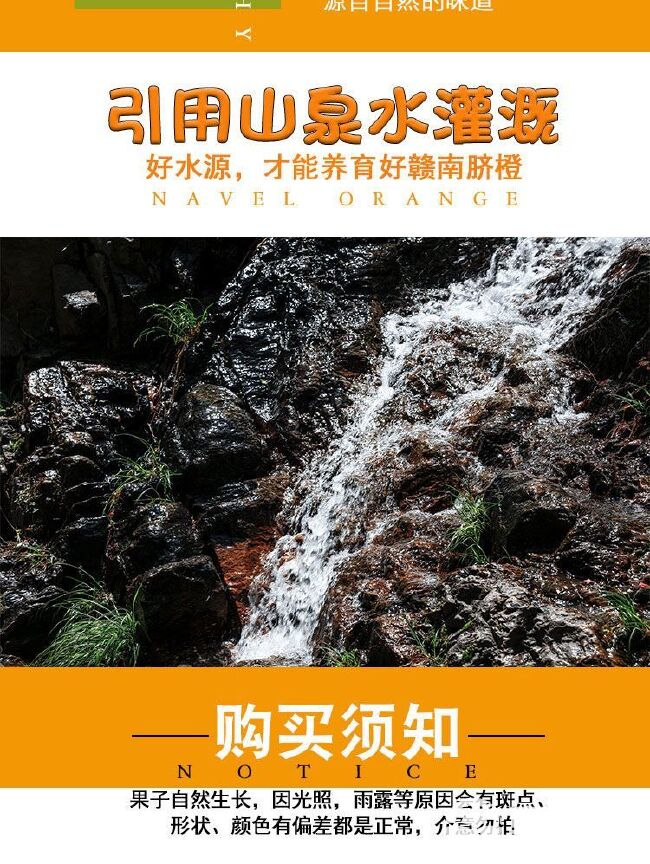 【十斤】江西赣南脐橙信丰新鲜脐橙水果橙子整箱一件代发