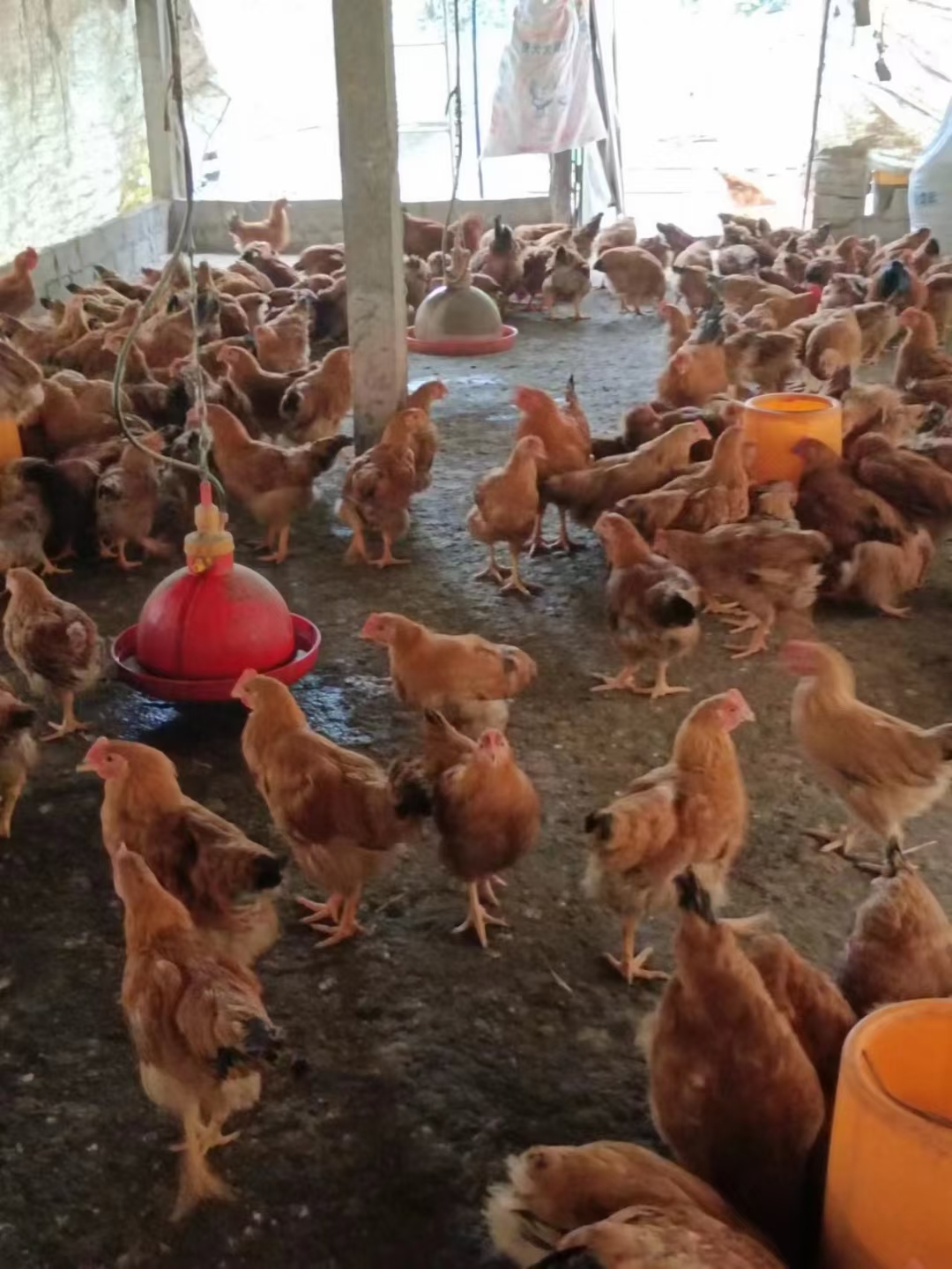 祝大家开工大吉！