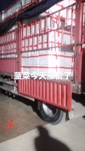 沛县红根蒜苗