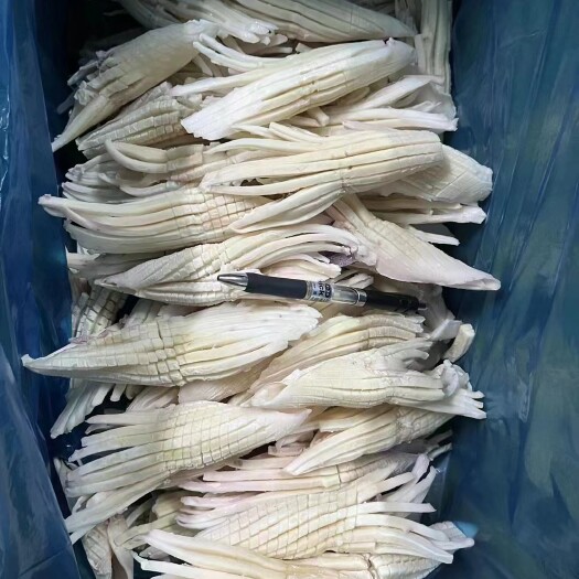 荣成市火箭鱿鱼