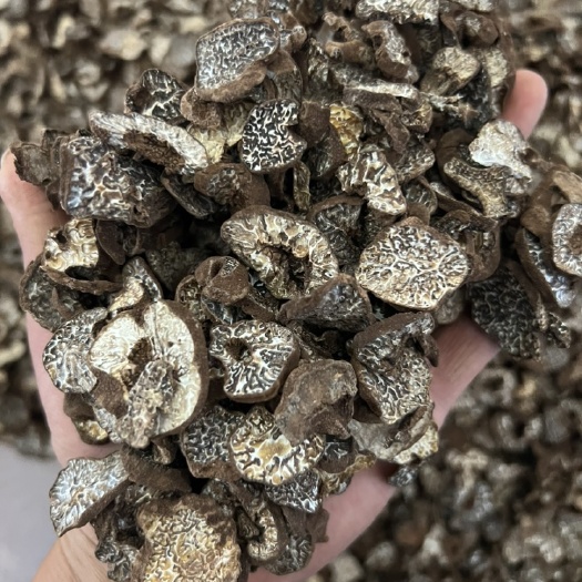 巍山县块菌干片松露猪拱菌干品老家产地货源大量现货供应