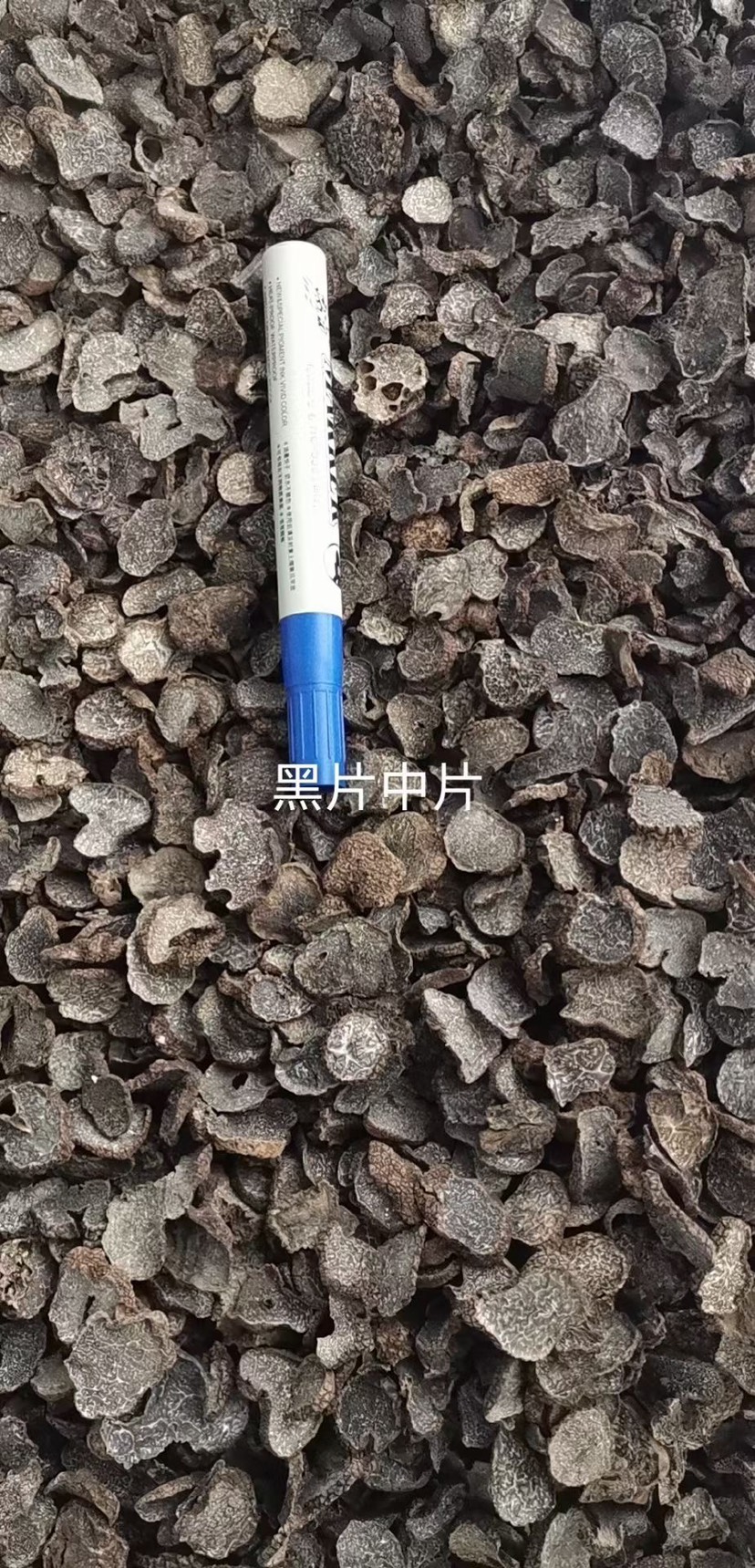 云南松露块菌猪拱菌产地大量批发
