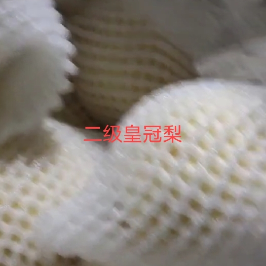 砀山县皇冠梨