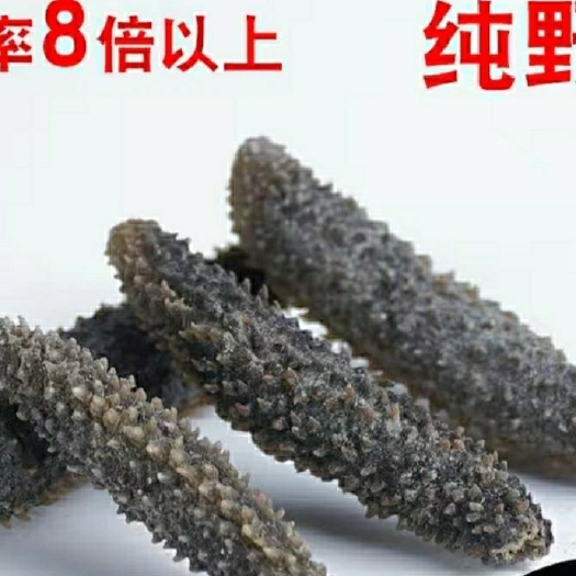 大连干海参黑刺参 包邮