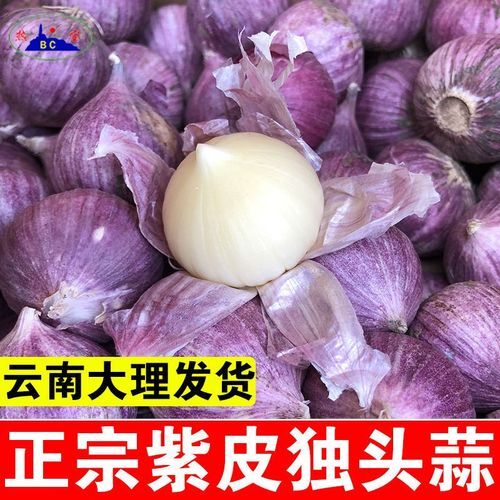云南大理弥渡2024年紫皮红香蒜独头蒜大量上市