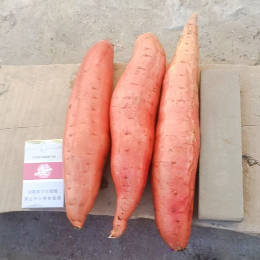 饶阳县西瓜红红薯