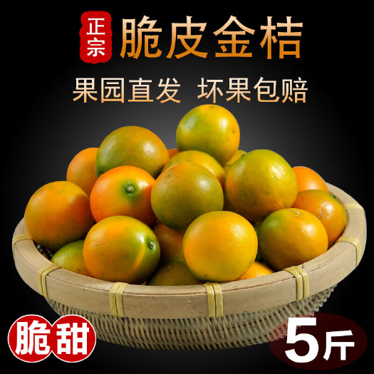 阳朔县广西融安脆皮金桔脆皮金桔一件代发