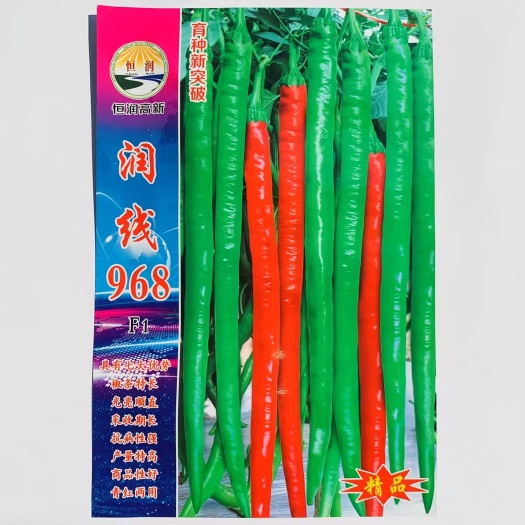 沭阳县线椒种子