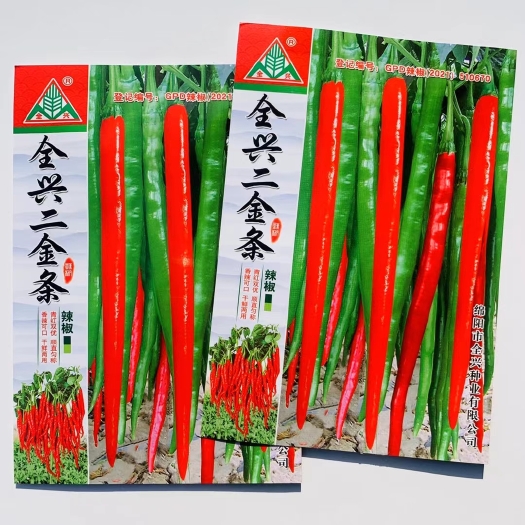 沭阳县线椒种子