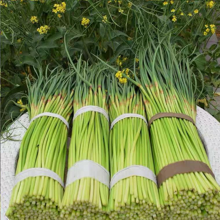 ƽƽغñ̦޷ۻӭϿͻǰǢ̸ҵԴ
