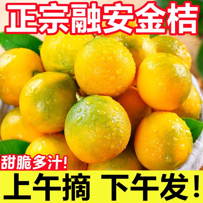 广西融安脆皮金桔脆皮金桔一件代发
