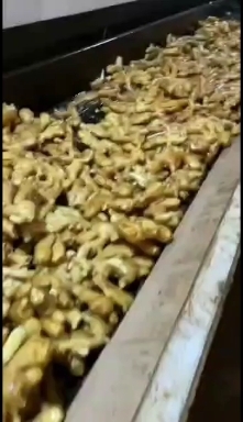 沂水县大量批发生姜