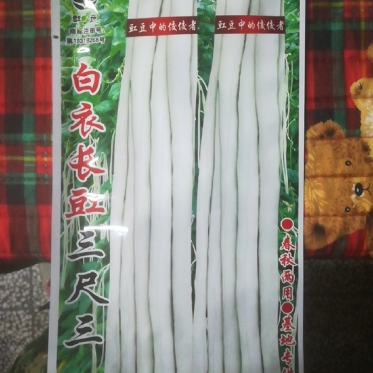 怀化白豇豆种子，白玉三尺三，特长白豆角种子抗病大田春夏秋季可播