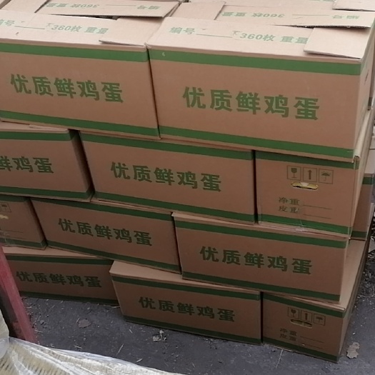 磁县鸡蛋